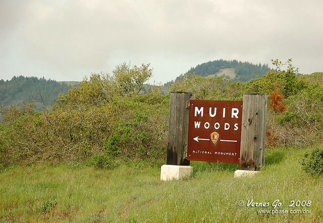 Muir Woods DSCb_03138 copy.jpg