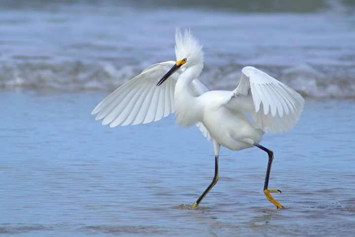 Surf fishing