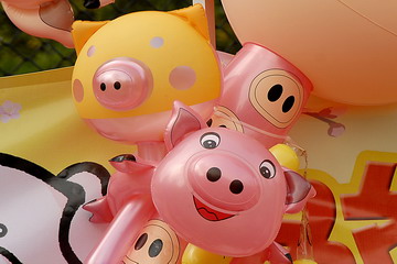 Pigs 117.jpg