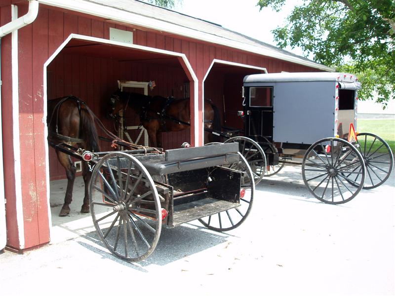 Amish buggies parked at shops