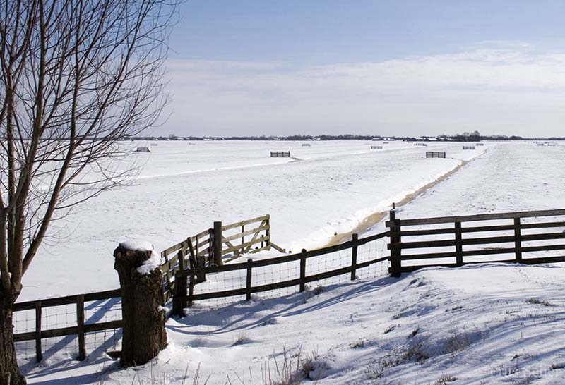 Winter in the polder, Netherlands 2005