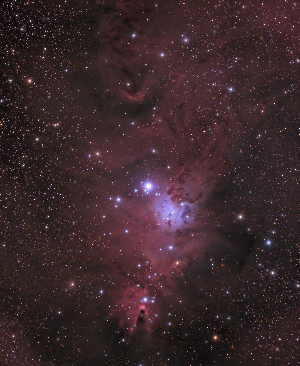 Cone Nebula and Christmas Tree Cluster