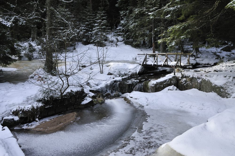 le petit pont de bois