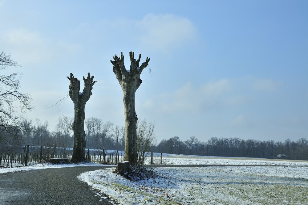 mutils