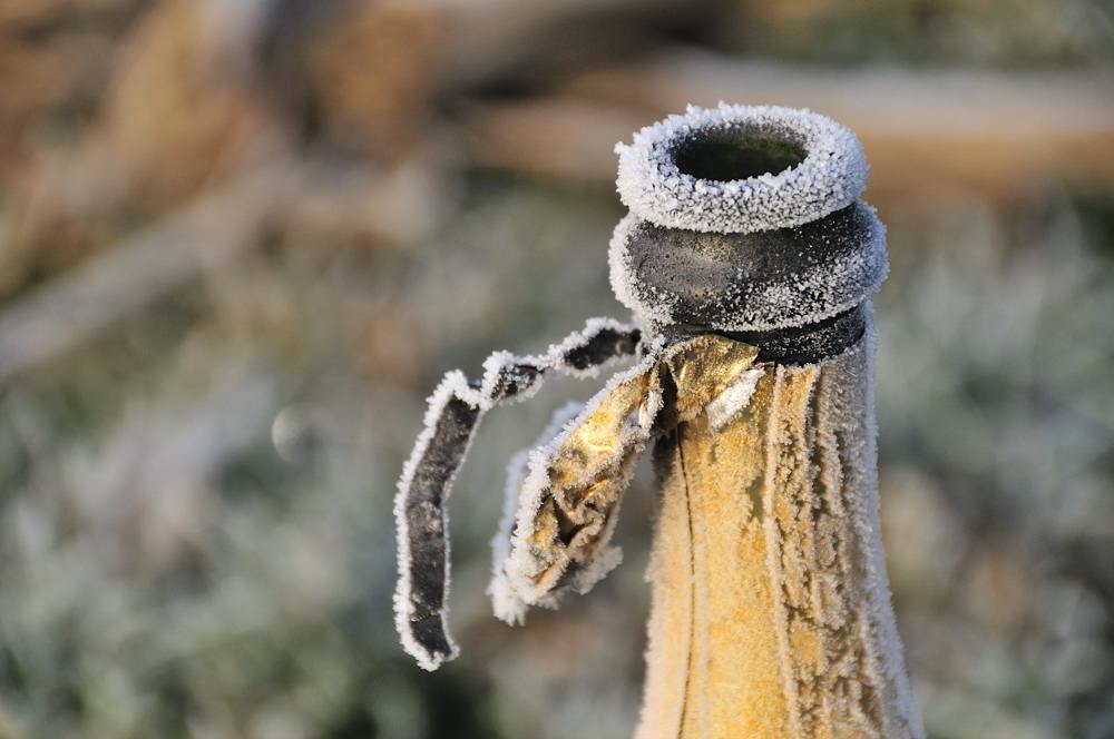 champagne dans la campagne