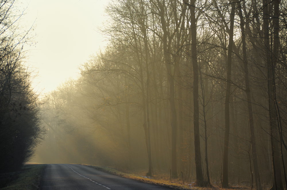 8h28 - route de Benfeld