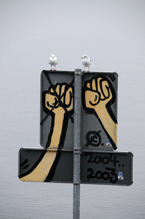 The wall