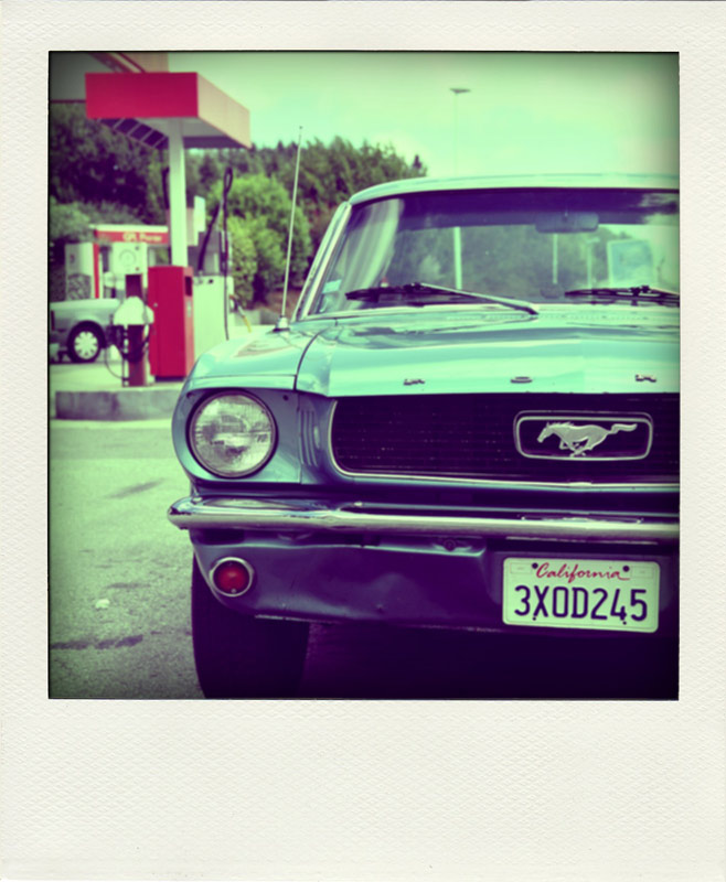 Mustang