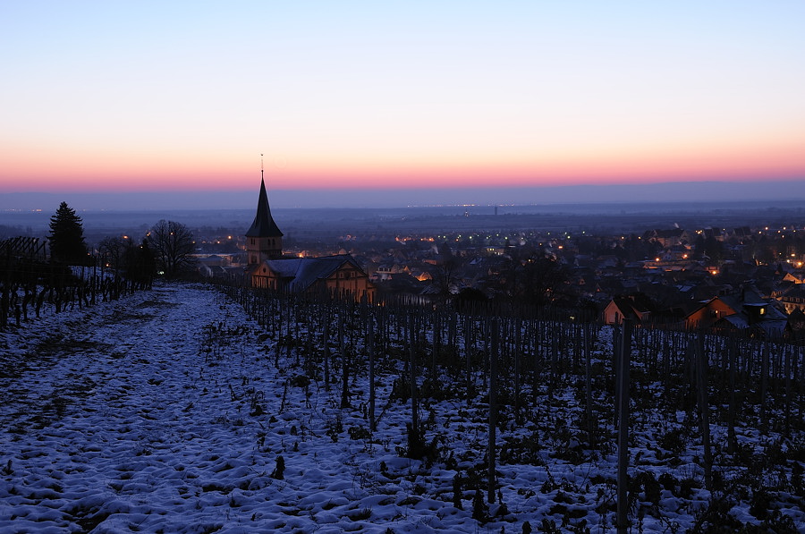 Vignes  Barr