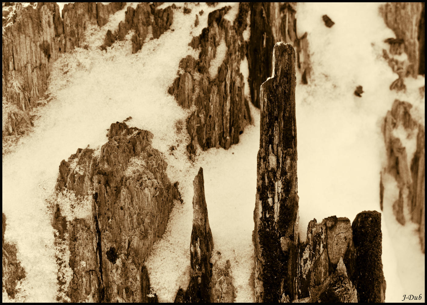 Flancs enneigs/Snowy Slopes