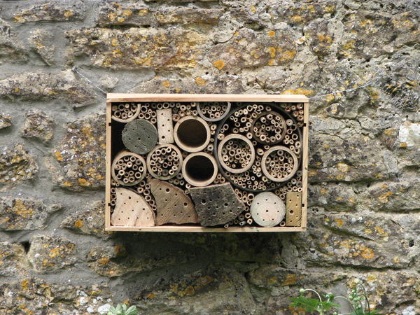 Home made solitary bee house