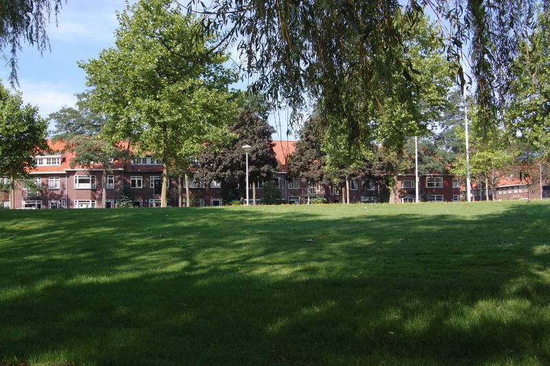 Park view (Ann Frank Park)