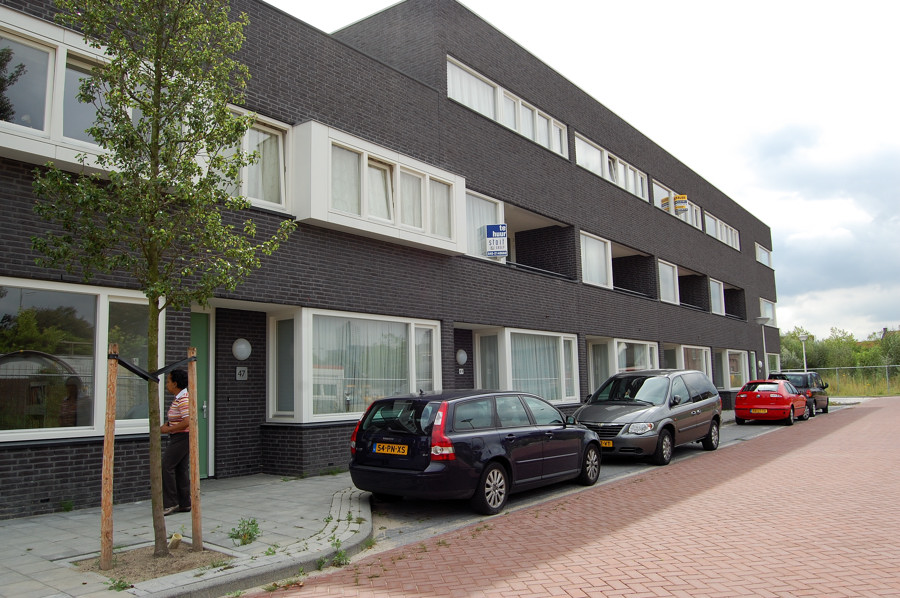 DSC_6975.jpg