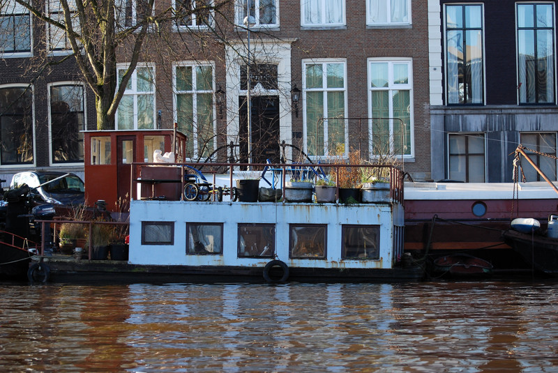 DSC_3642b.jpg