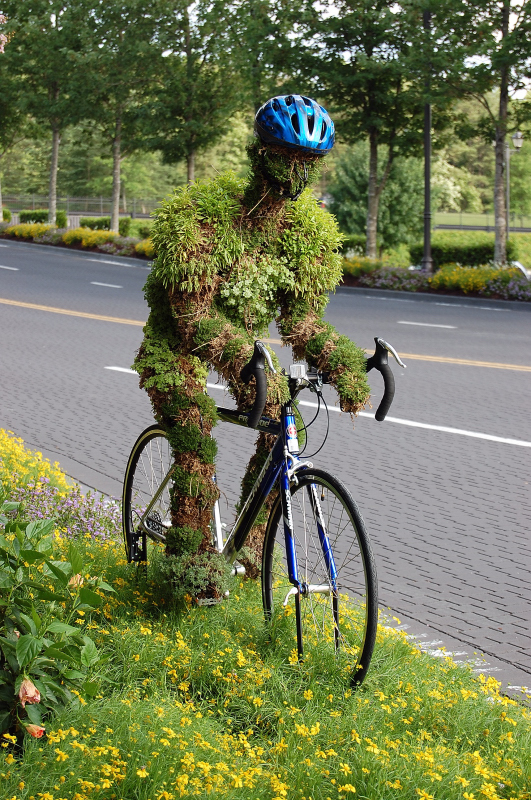 Hedge Racer0010.JPG