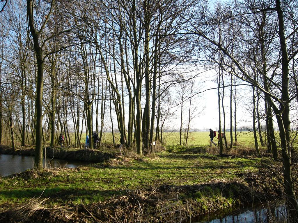 Langerakse kade