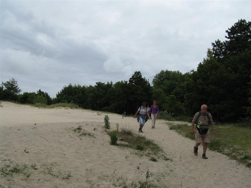 Duinen van Schouwen-Duiveland