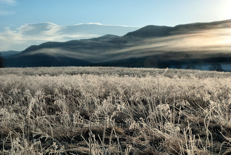 Frost n Wispy Fog