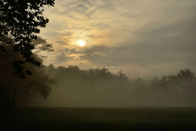  New Day