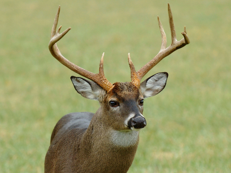 JPG CS 6 Ten Point Portrait DSC_2296.jpg