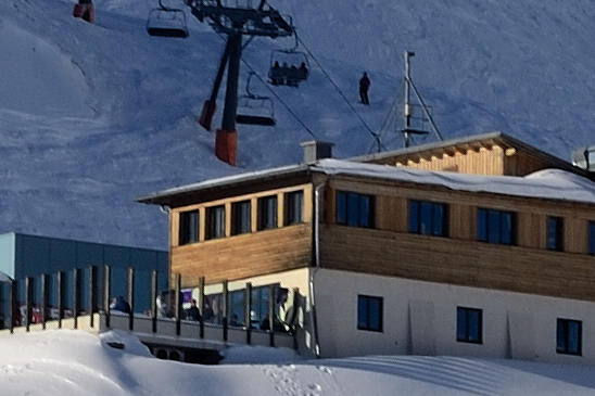D7K_2379-crop.jpg