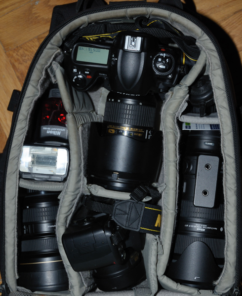 DSC_2459-600.jpg