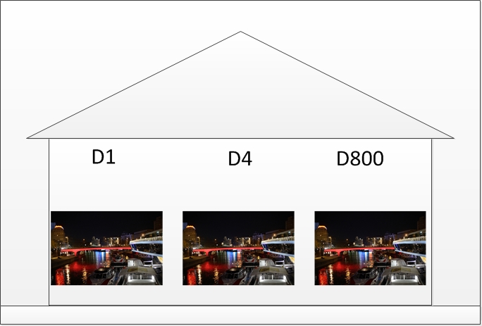 D4D800 Size 1.jpg