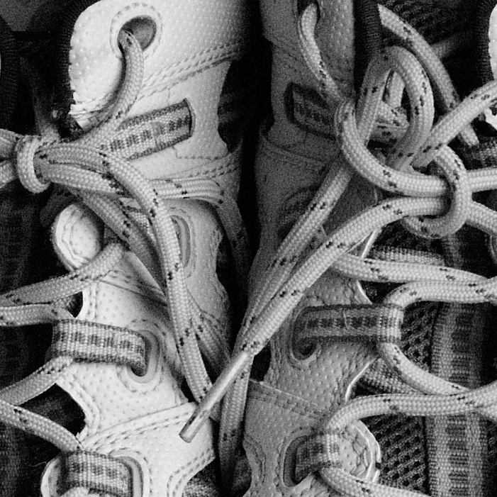 D4H_3241-crop.jpg