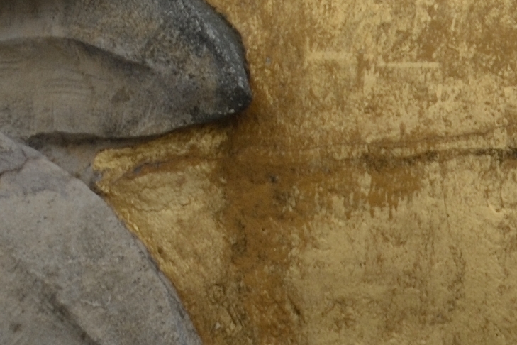 D8E_8112-crop.jpg