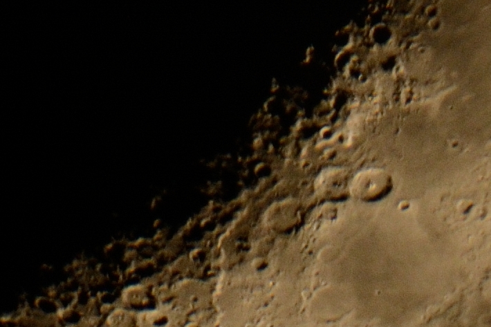 D71_1070-crop2.jpg