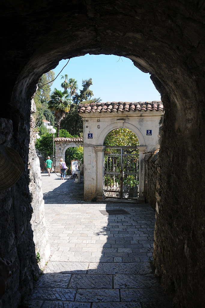 DSC_9791.jpg