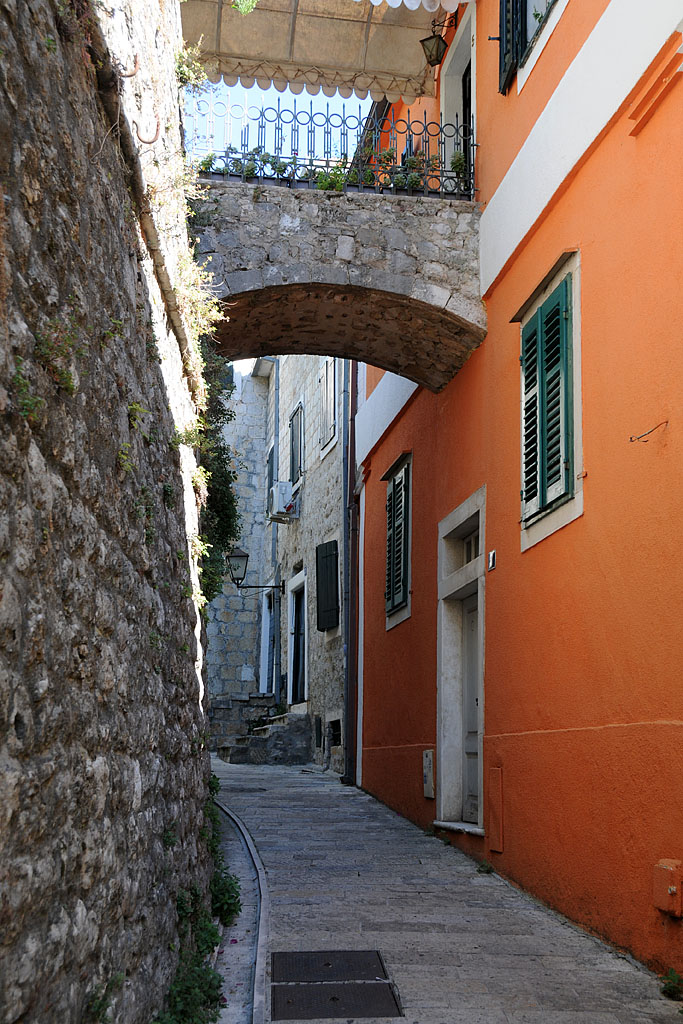 DSC_9795.jpg