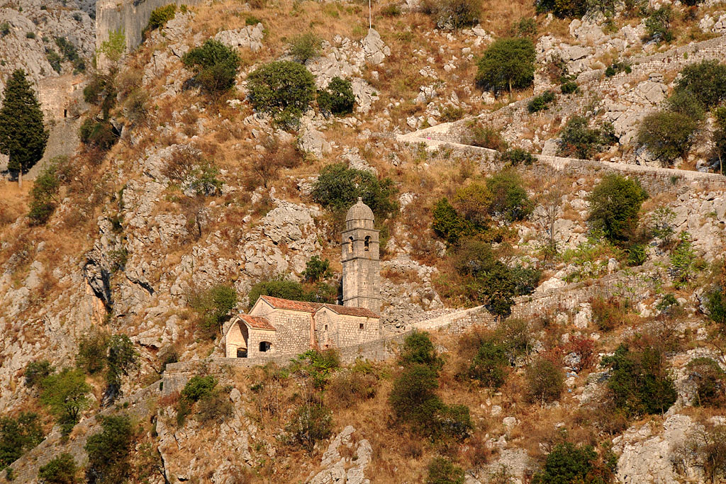 DSC_0424.jpg