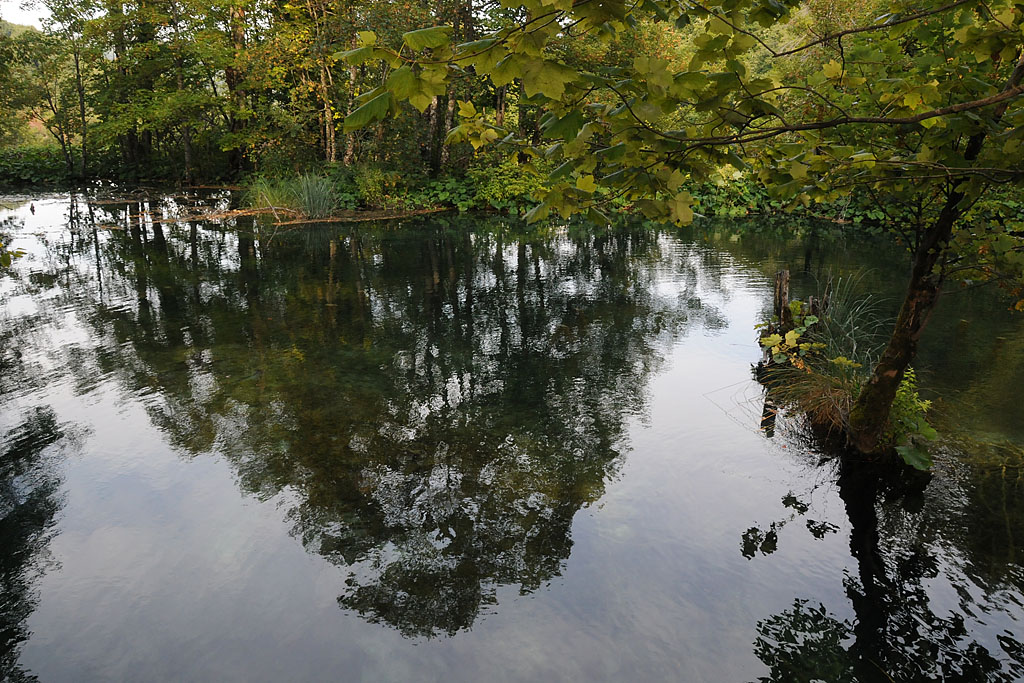 DSC_5764.jpg