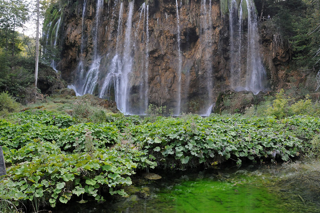 DSC_5797.jpg