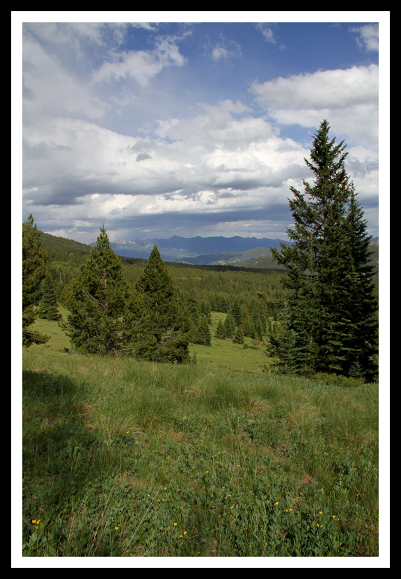 Trail to Ouray