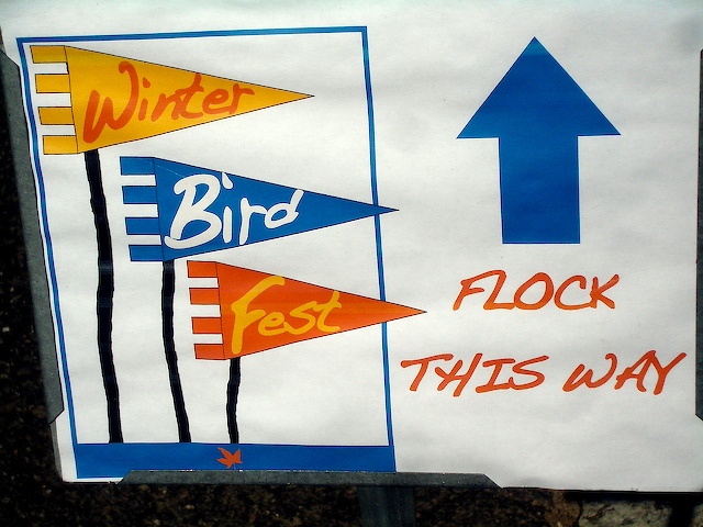 Flock This Way