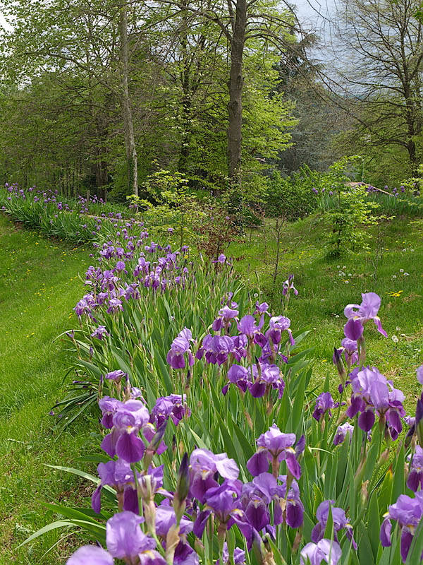 La fageda den Jord