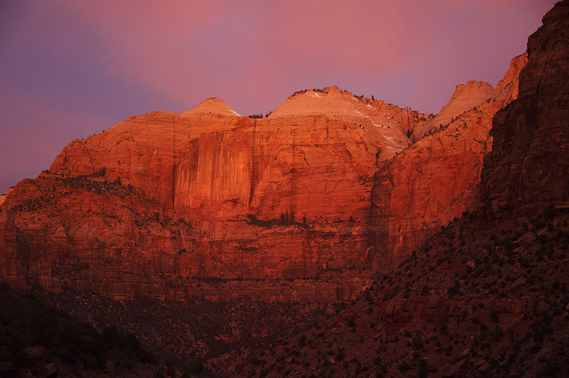 Alpenglow - Zion