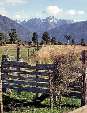 New Zealand Fence.