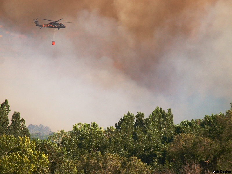 Wildfire