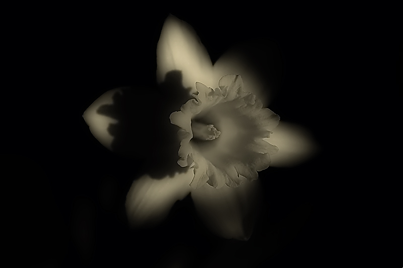 28-Mar