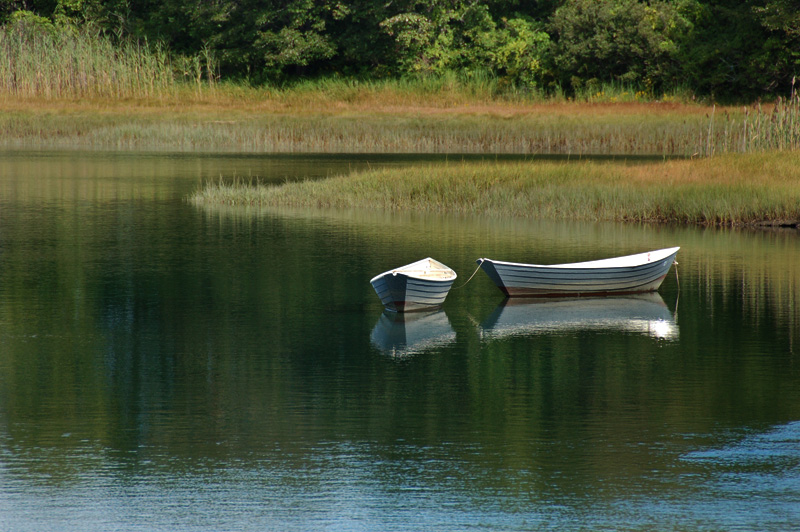 Serenity