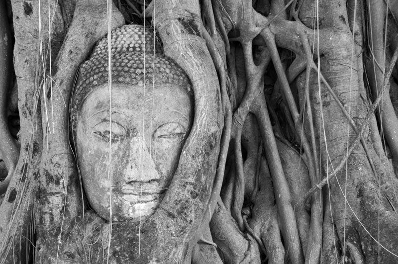 AYUTTHAYA FACE