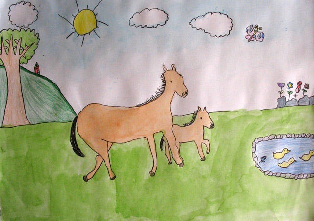 horse, Celina, age:7.5