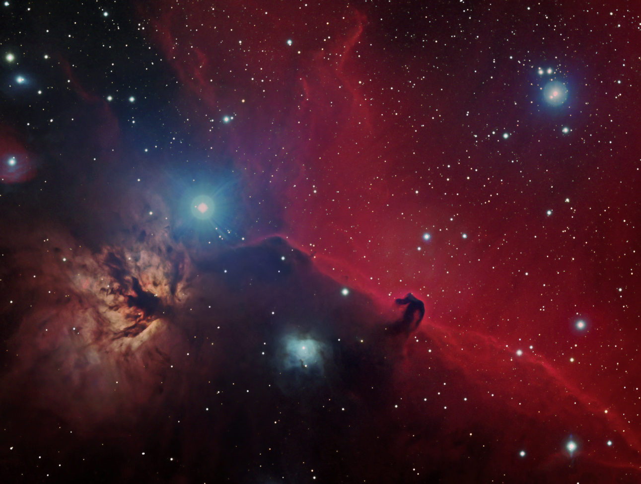 Horsehead and Flame Nebulas