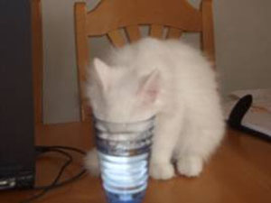 More water