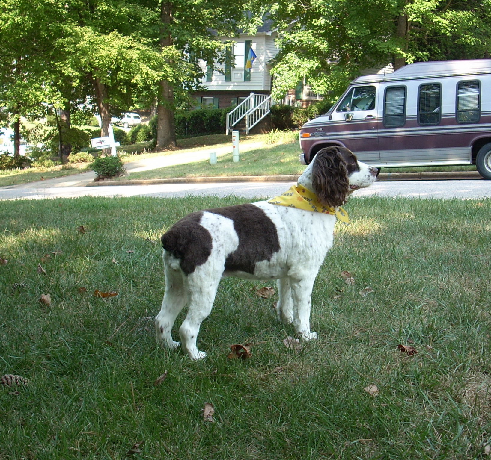 Check out my new slimmer profile!