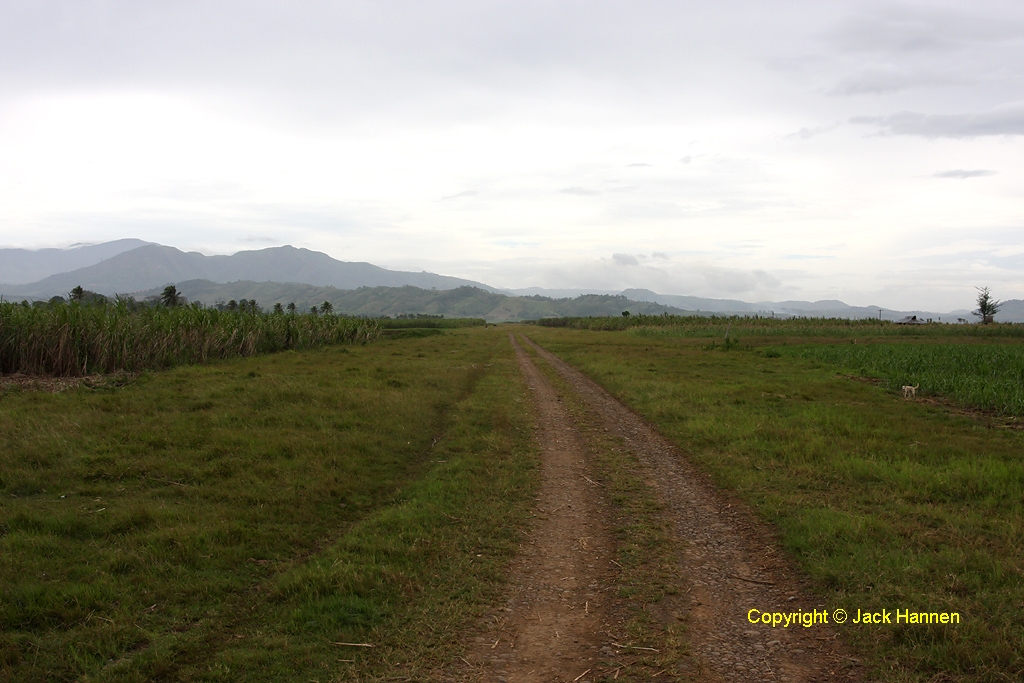 Looking north from the southern end of the airstrip