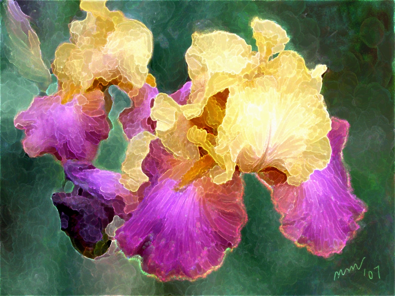 Two Irises